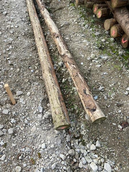 Grote foto spar in barst kop 12 14 600cm doe het zelf en verbouw hout en planken
