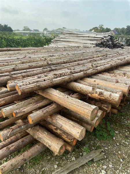 Grote foto spar in barst kop 12 14 600cm doe het zelf en verbouw hout en planken