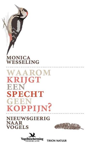 Grote foto waarom krijgt een specht geen koppijn tirion natuur boeken hobby en vrije tijd