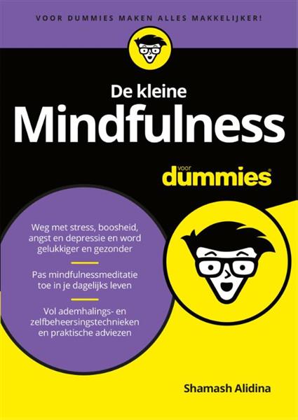 Grote foto de kleine mindfulness voor dummies voor dummies boeken psychologie