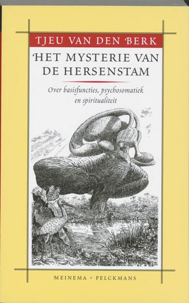 Grote foto het mysterie van de hersenstam boeken overige boeken