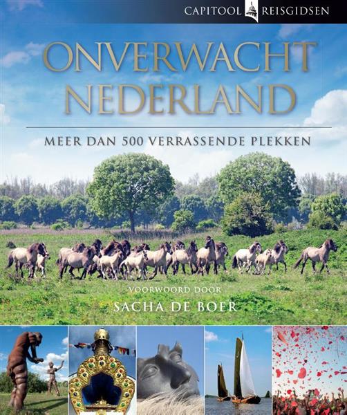 Grote foto onverwacht nederland capitool reisgidsen boeken overige boeken