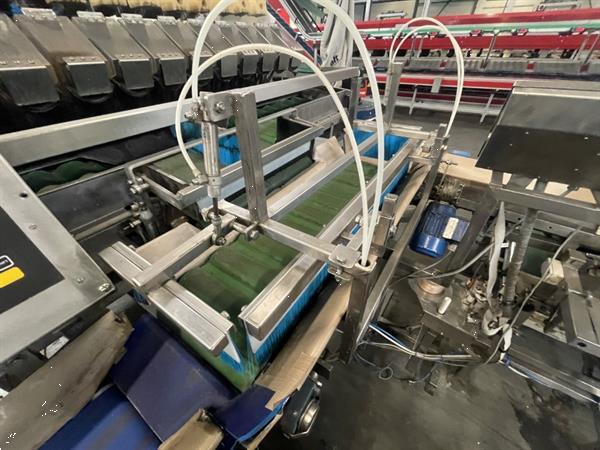 Grote foto newtec 2014a afweegmachine met elevator en zakkenvulmachine voor appels agrarisch tuinbouw