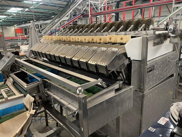 Grote foto newtec 2014a afweegmachine met elevator en zakkenvulmachine voor appels agrarisch tuinbouw