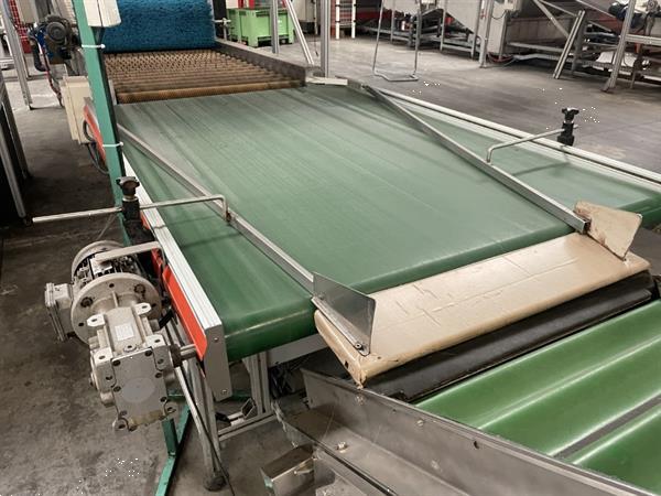 Grote foto newtec 2014a afweegmachine met elevator en zakkenvulmachine voor appels agrarisch tuinbouw