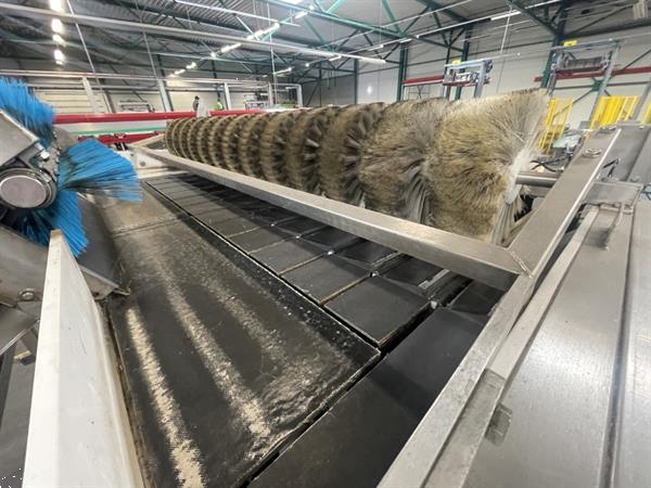 Grote foto newtec 2014a afweegmachine met elevator en zakkenvulmachine voor appels agrarisch tuinbouw