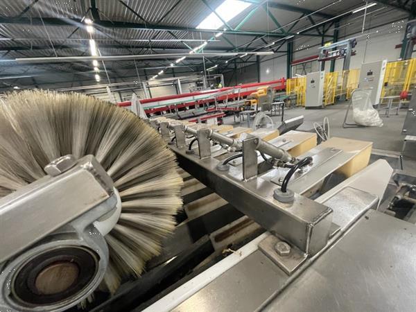Grote foto newtec 2014a afweegmachine met elevator en zakkenvulmachine voor appels agrarisch tuinbouw
