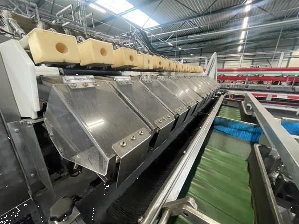 Grote foto newtec 2014a afweegmachine met elevator en zakkenvulmachine voor appels agrarisch tuinbouw