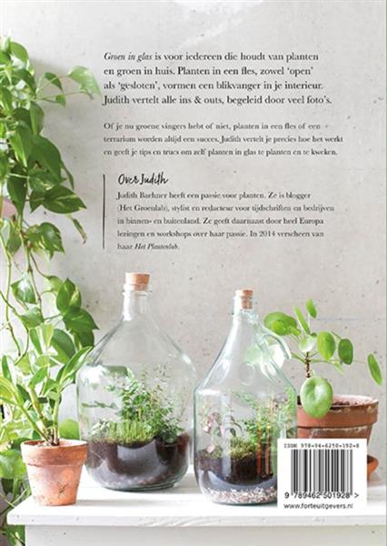Grote foto groen in glas boeken hobby en vrije tijd