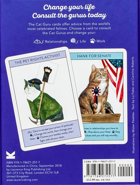 Grote foto cat gurus boeken hobby en vrije tijd