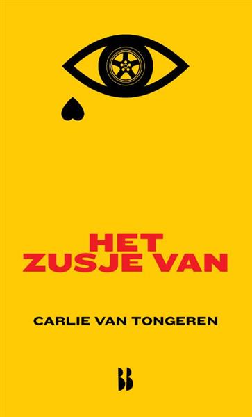 Grote foto het zusje van blossom books shorties 1 boeken jeugd 13 jaar en ouder