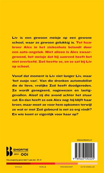 Grote foto het zusje van blossom books shorties 1 boeken jeugd 13 jaar en ouder