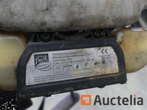 Grote foto central park sl30c3 snaartrimmer tuin en terras overige tuin en terras