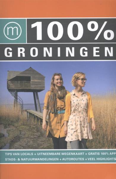 Grote foto 100 groningen 100 regiogidsen boeken overige boeken