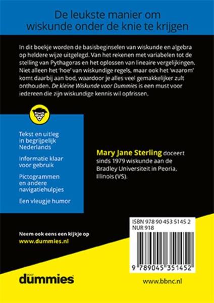 Grote foto de kleine wiskunde voor dummies voor dummies boeken wetenschap