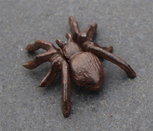 Grote foto dierenbeeld spin met ophanghaakje gietijzer sg387 tuin en terras tuindecoratie