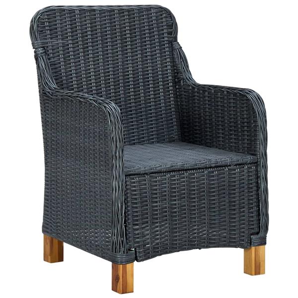 Grote foto vidaxl tuinstoelen 2 st met kussens poly rattan donkergrijs tuin en terras tuinmeubelen