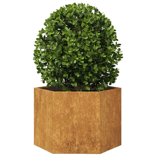 Grote foto vidaxl plantenbak zeshoek 69x60x45 cm weervast staal tuin en terras overige tuin en terras