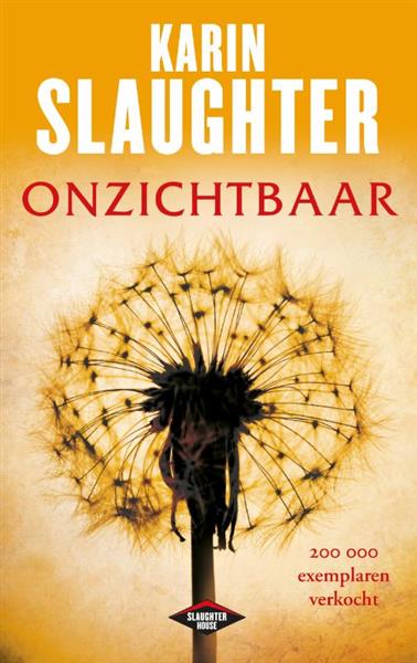 Grote foto onzichtbaar grant county 4 boeken thrillers