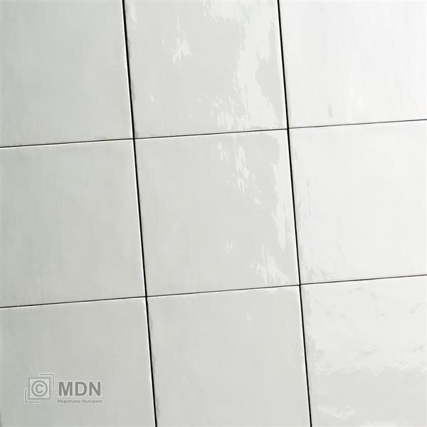 Grote foto hollandse replica witjes voor de wand 15 x 15 cm 1m doe het zelf en verbouw tegels