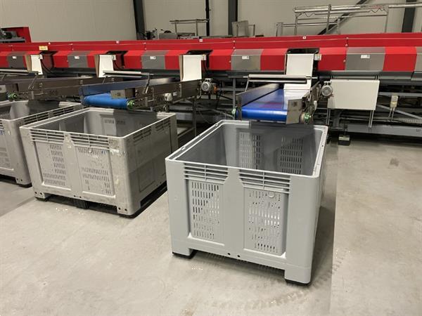 Grote foto aweta gmc 4 16 1 paprikasorteermachine agrarisch tuinbouw