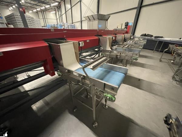 Grote foto aweta gmc 4 16 1 paprikasorteermachine agrarisch tuinbouw
