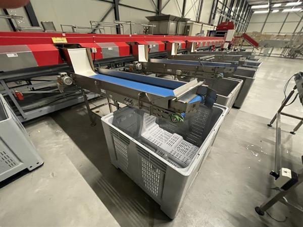 Grote foto aweta gmc 4 16 1 paprikasorteermachine agrarisch tuinbouw