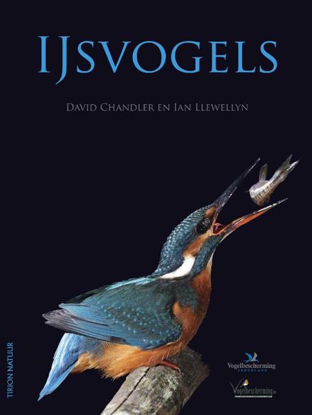 Grote foto ijsvogels boeken hobby en vrije tijd