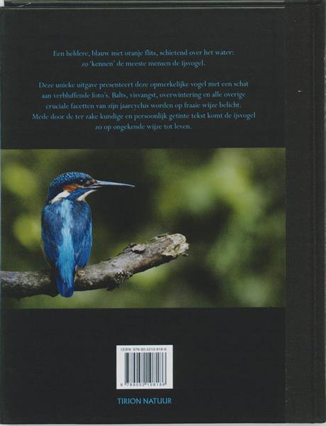 Grote foto ijsvogels boeken hobby en vrije tijd