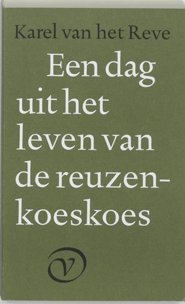 Grote foto reuzenkoeskoes boeken literatuur
