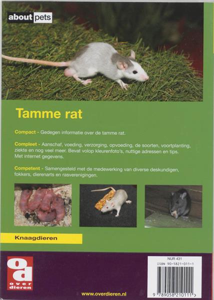 Grote foto de tamme rat over dieren boeken hobby en vrije tijd