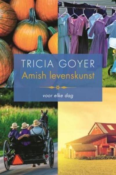 Grote foto vier seizoenen eenvoudig als de amish boeken overige boeken