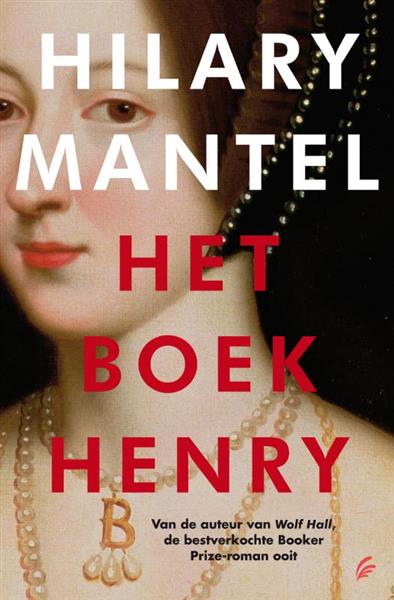 Grote foto het boek henry lj veen klassiek boeken overige boeken