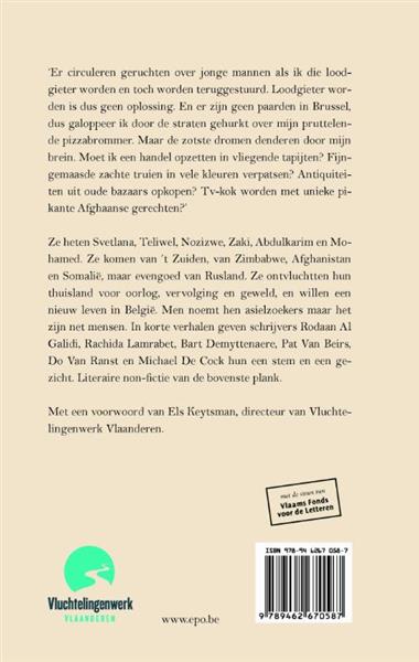 Grote foto er zijn geen paarden in brussel boeken politiek en maatschappij