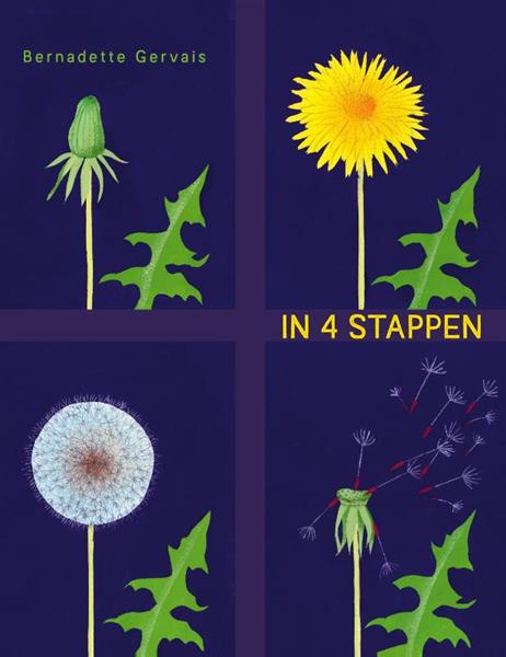 Grote foto in 4 stappen boeken jeugd 13 jaar en ouder