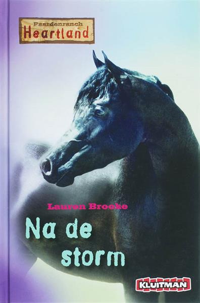 Grote foto na de storm paardenranch heartland boeken jeugd 13 jaar en ouder
