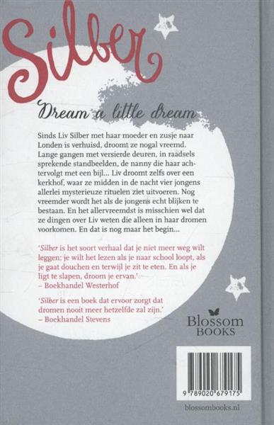 Grote foto het eerste boek der dromen silber boeken jeugd 13 jaar en ouder