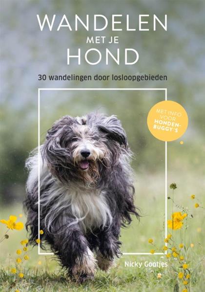 Grote foto wandelen met je hond boeken overige boeken
