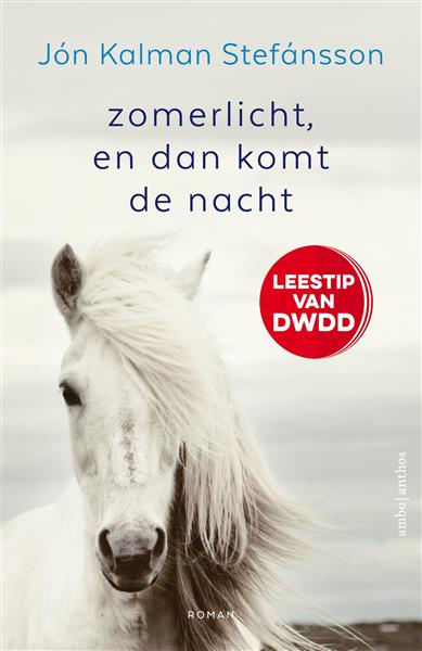 Grote foto zomerlicht en dan komt de nacht boeken overige boeken