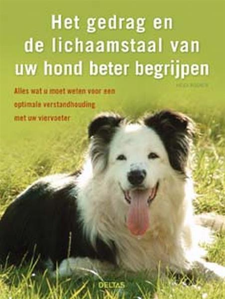 Grote foto het gedrag en de lichaamstaal van uw hond beter begrijpen boeken hobby en vrije tijd