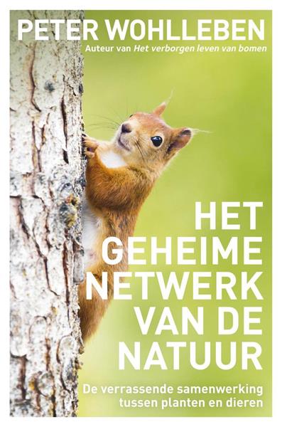 Grote foto het geheime netwerk van de natuur boeken hobby en vrije tijd