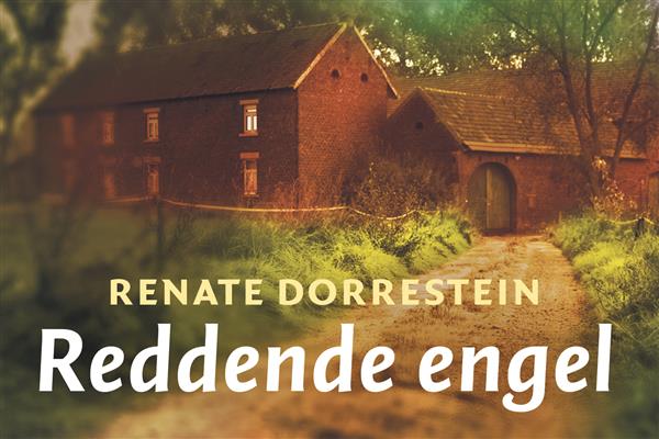 Grote foto reddende engel dwarsligger 579 boeken overige boeken