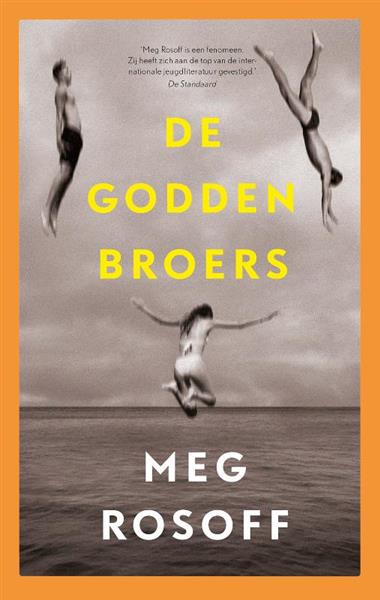 Grote foto de godden broers zomerdrieluik 1 boeken jeugd 13 jaar en ouder