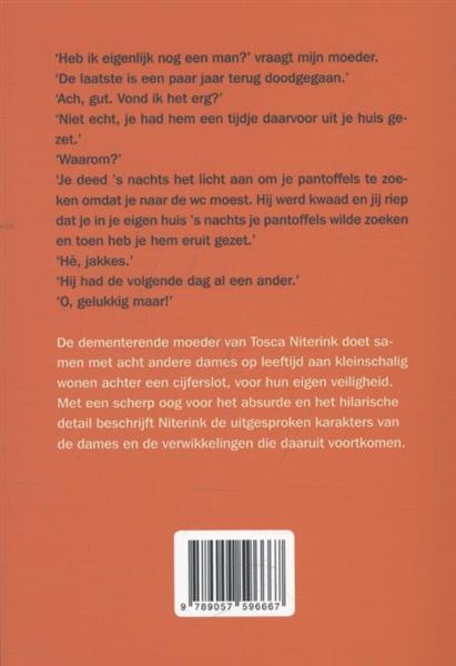 Grote foto de vergeetclub boeken literatuur