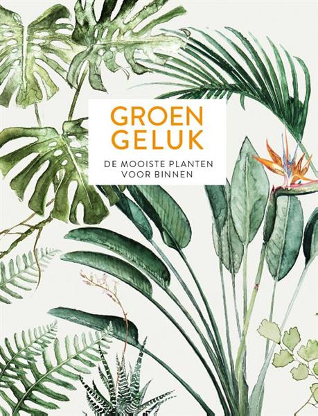 Grote foto groen geluk boeken hobby en vrije tijd