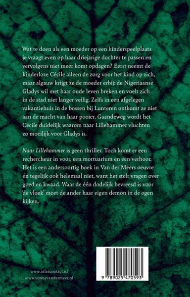 Grote foto naar lillehammer boeken overige boeken