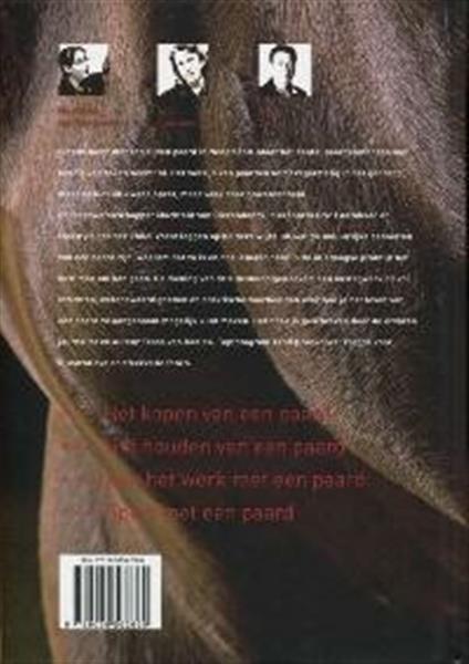 Grote foto het tevreden paard boeken hobby en vrije tijd