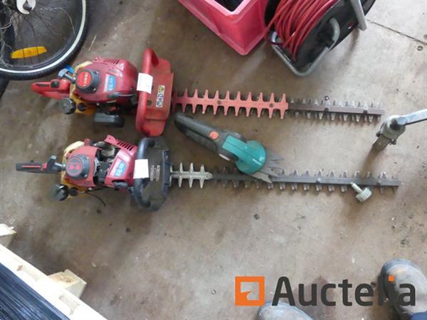 Grote foto 2 heggen knippen tuin en terras overige tuin en terras