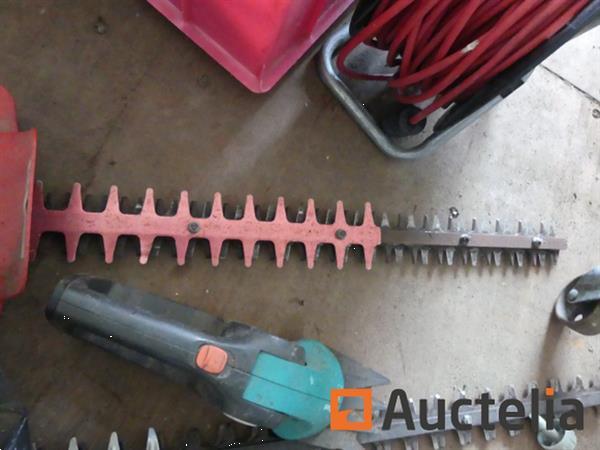 Grote foto 2 heggen knippen tuin en terras overige tuin en terras