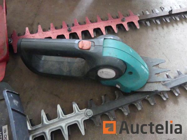 Grote foto 2 heggen knippen tuin en terras overige tuin en terras